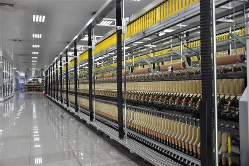 轉型升級 產(chǎn)業(yè)強區(qū)